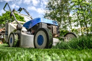 Jardinage Etes-vous bien assuré en cas de pépin