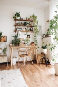 jardin d'interieur boheme-chic