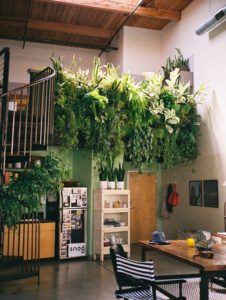 jardin vertical bobo chic