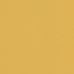 jaune moutarde couleurs trendy