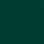 vert foret couleurs trendy