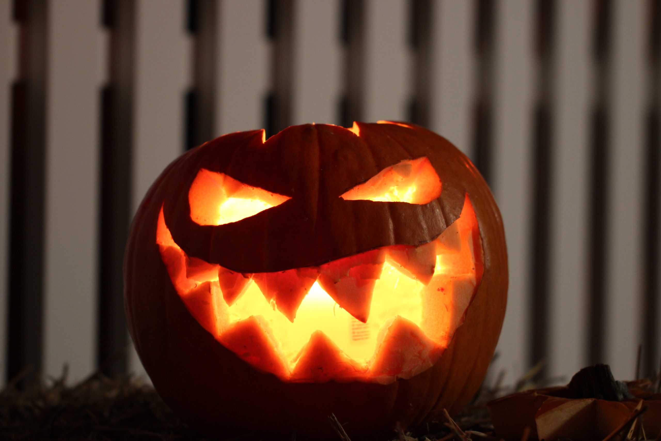halloween citrouille