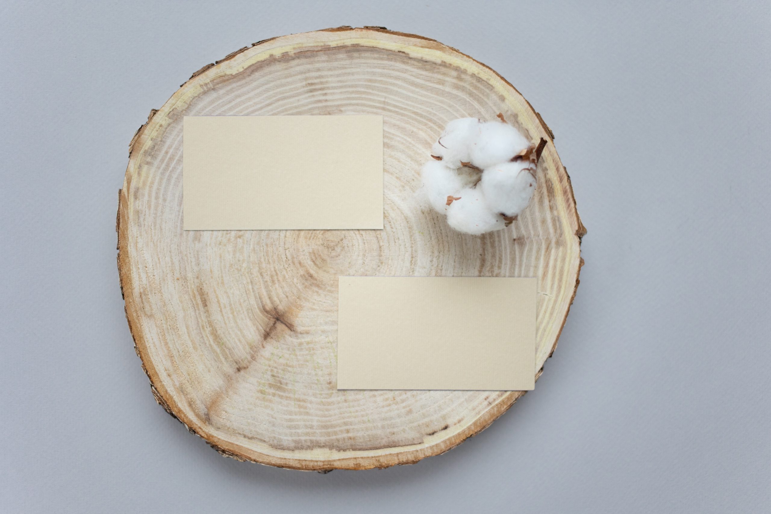 decor d'hiver rustique