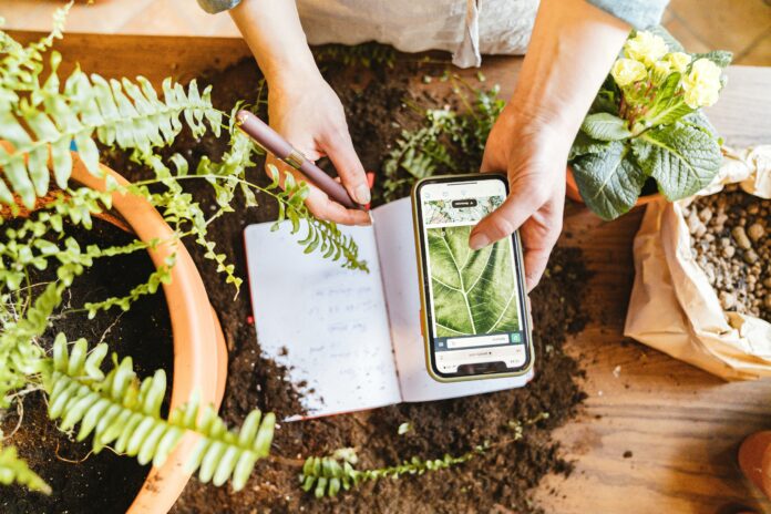 Smart Garden En savoir plus sur le jardinage aidé de la technologie
