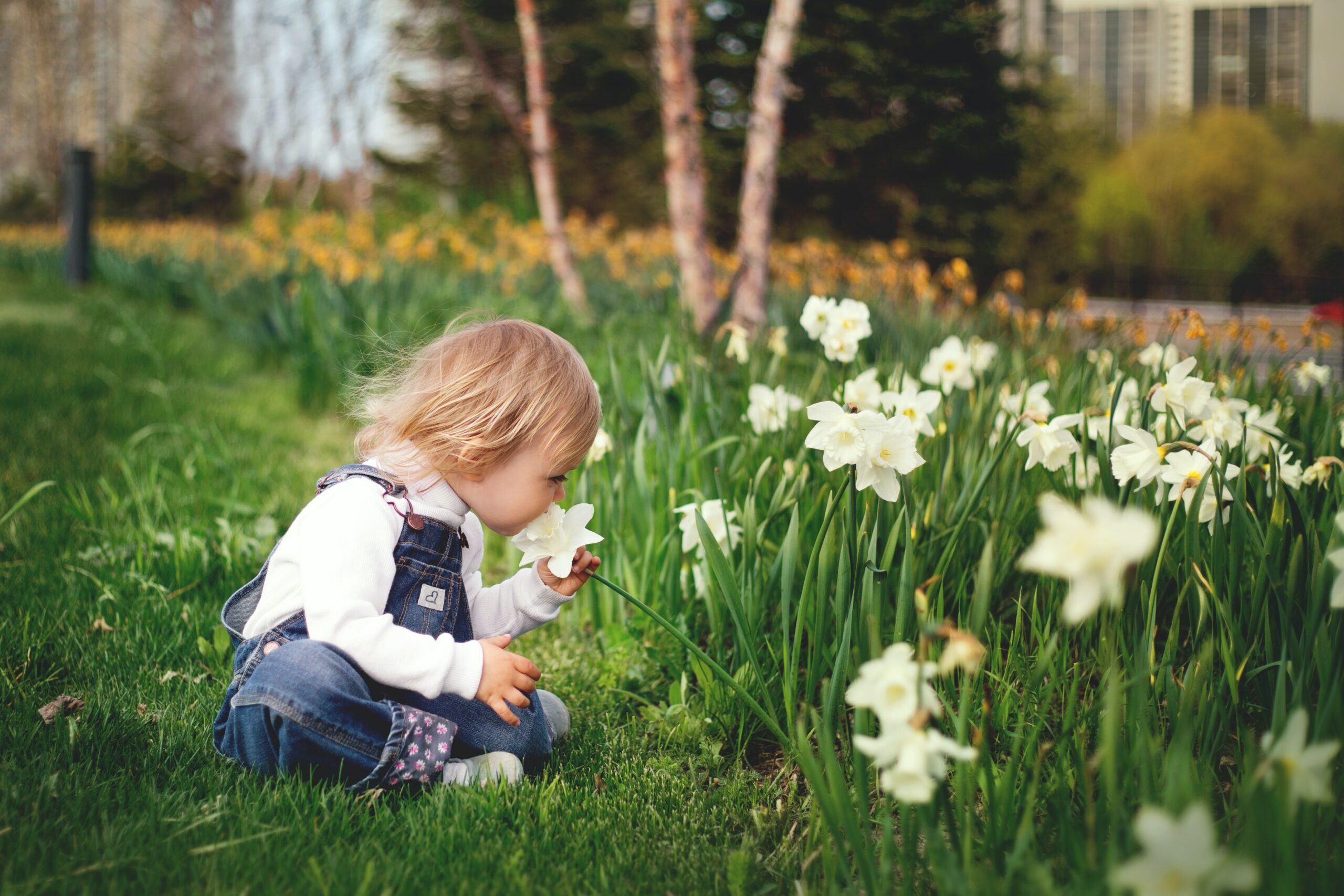 jardin fleuri