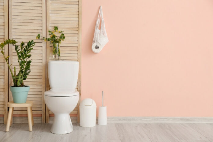 5 idées de décoration de toilettes pour en faire un havre de « pet »