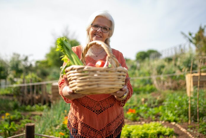 Septembre que planter dans le potager