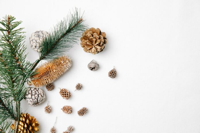 Déco de Noël: comment respecter les restrictions d'énergie ?