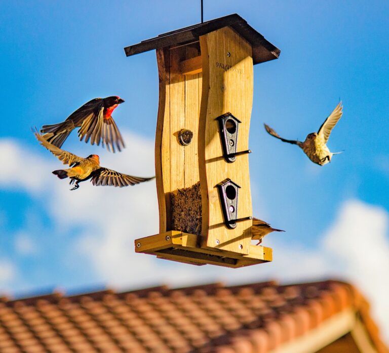 nichoir à oiseau