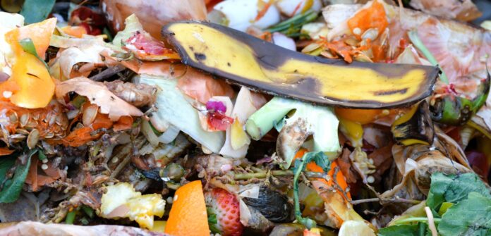 légumes délicieux, compost