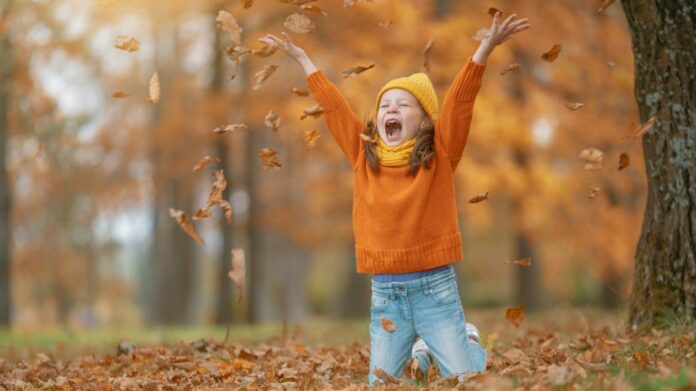 Les conseils Truffaut pour sa terrasse en automne