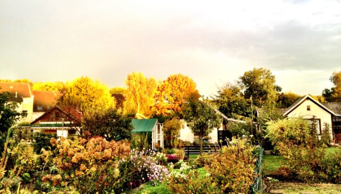 Jardinage en octobre