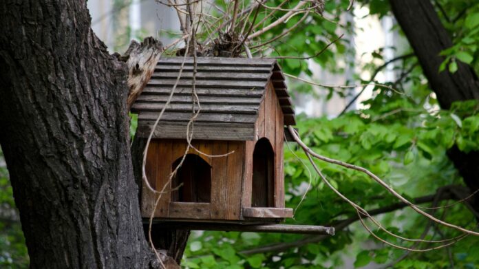 Protégez la biodiversité de votre jardin en hiver