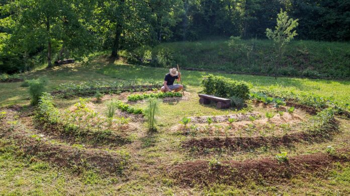Votre jardin durable grâce à la permaculture