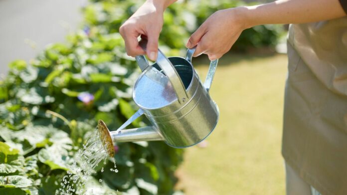 Les différentes solutions d’arrosage pour votre jardin