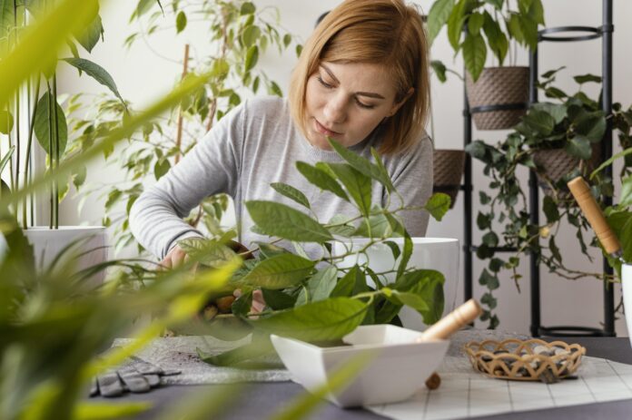 maison-et-exterieur_Le guide complet pour reconnaître et soigner vos plante_medium-shot-woman-gardening-home soigner vos plantes