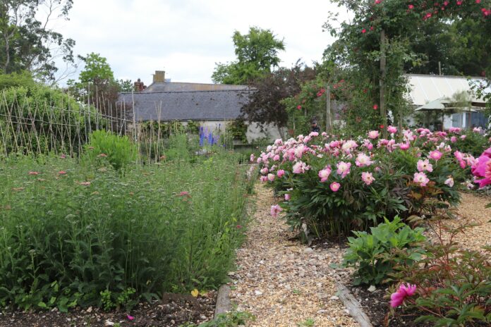 Missions de septembre au jardin