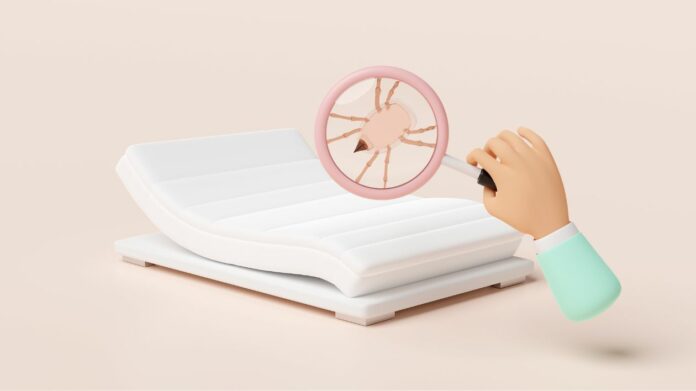 Comment se débarrasser des acariens dans sa maison guide complet pour un intérieur plus sain