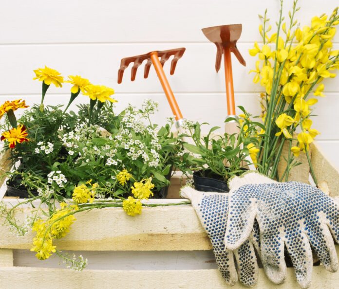 jardin au premier avril