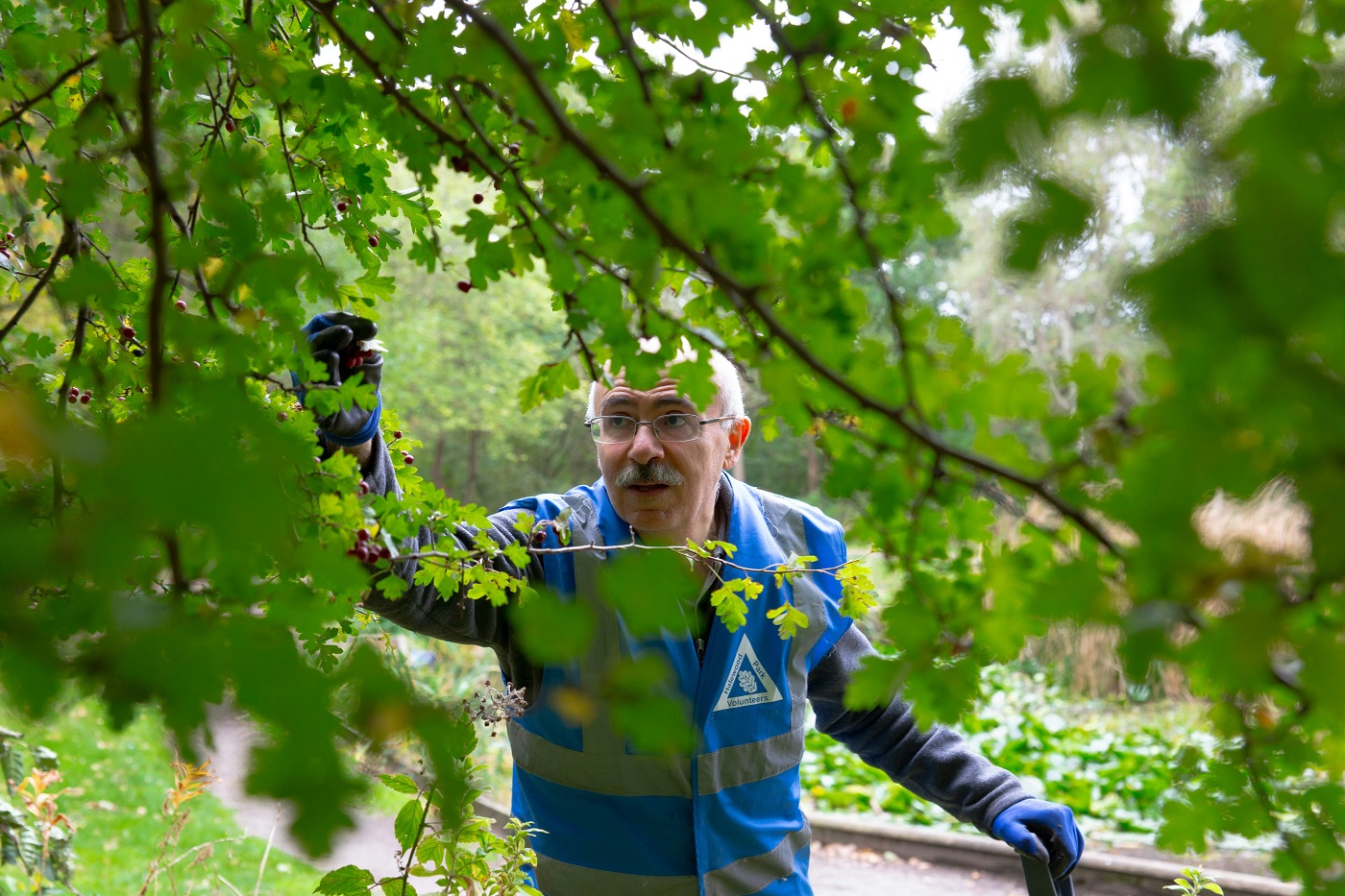 maison-et-exterieur_Branches du voisin dans votre jardin, ce que la loi vous permet vraiment_centre-for-ageing-better-7EMMgqysCm8-unsplash Branches du voisin