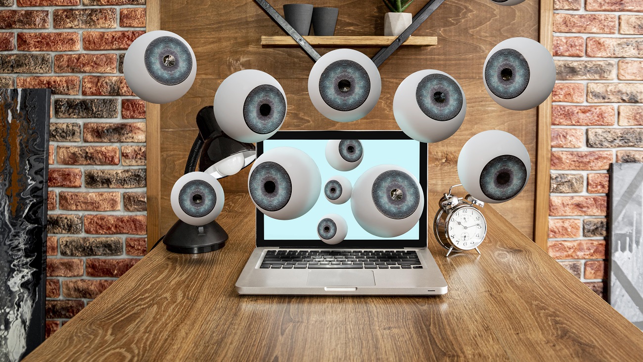 maison-et-exterieur_Maison vide, les technologies qui la surveillent pendant votre absence_big-brother-colage-concept maison vide